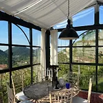 Il Conte Vassallo