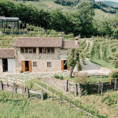 Il Conte Vassallo *